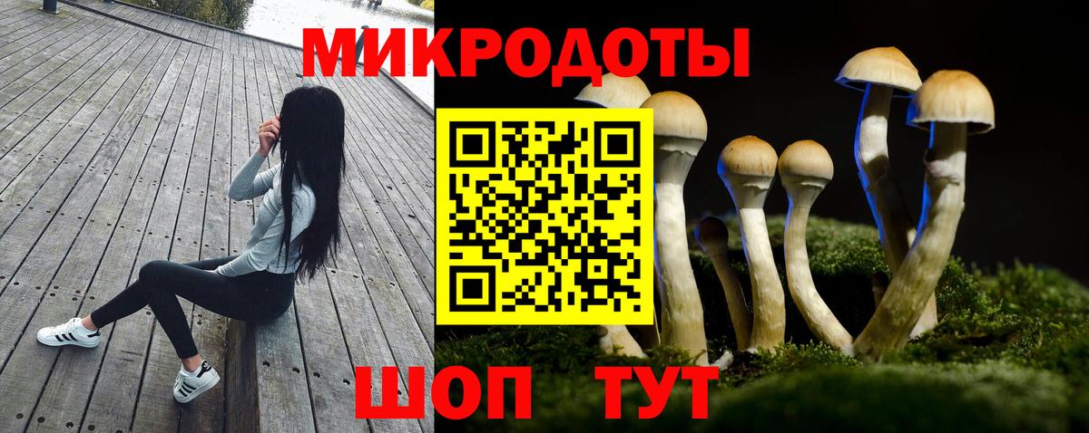 цены   Псилоцибиновые грибы ЛСД  Вход с VPN  Скопин 